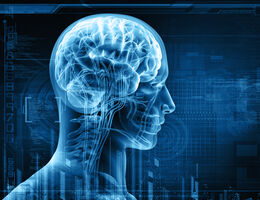 A layered digital image of the brain within the outline of a human head. 